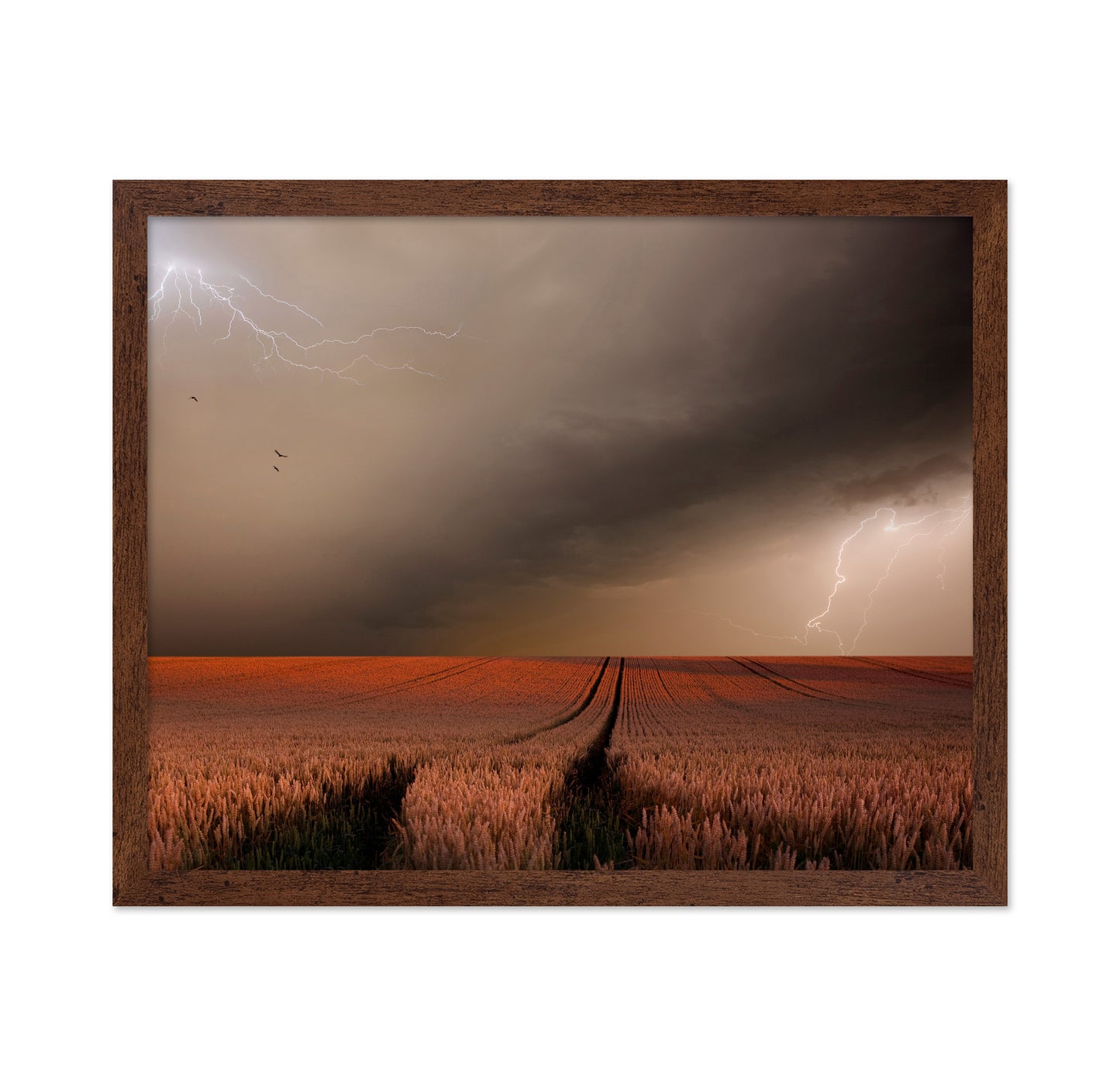 Storm Over Wheat Field