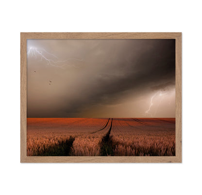 Storm Over Wheat Field