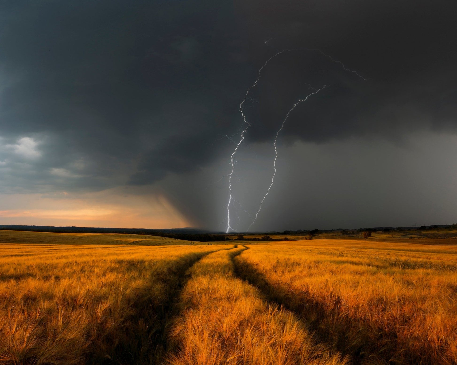 Lightning Over Wheat