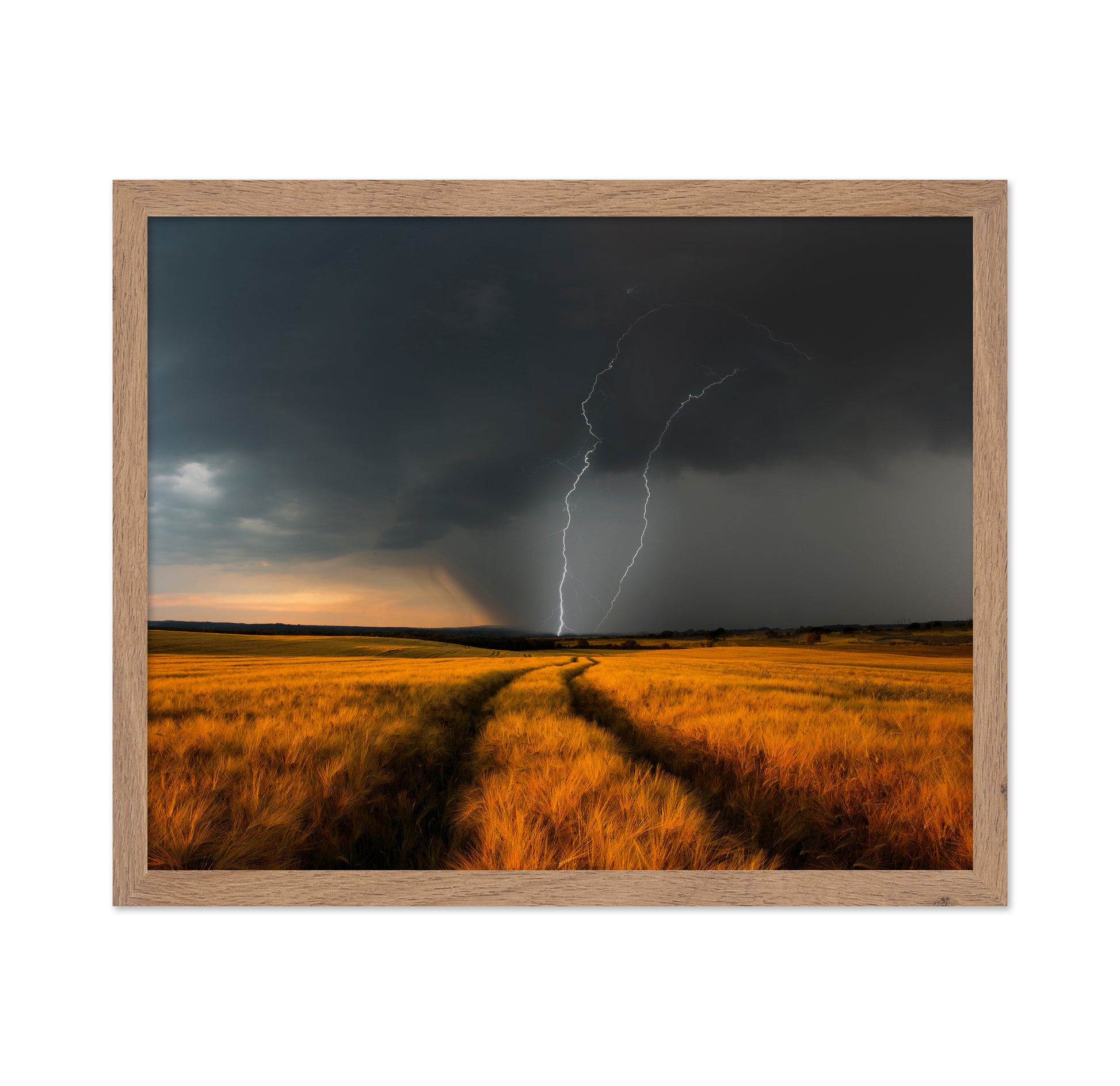 Lightning Over Wheat