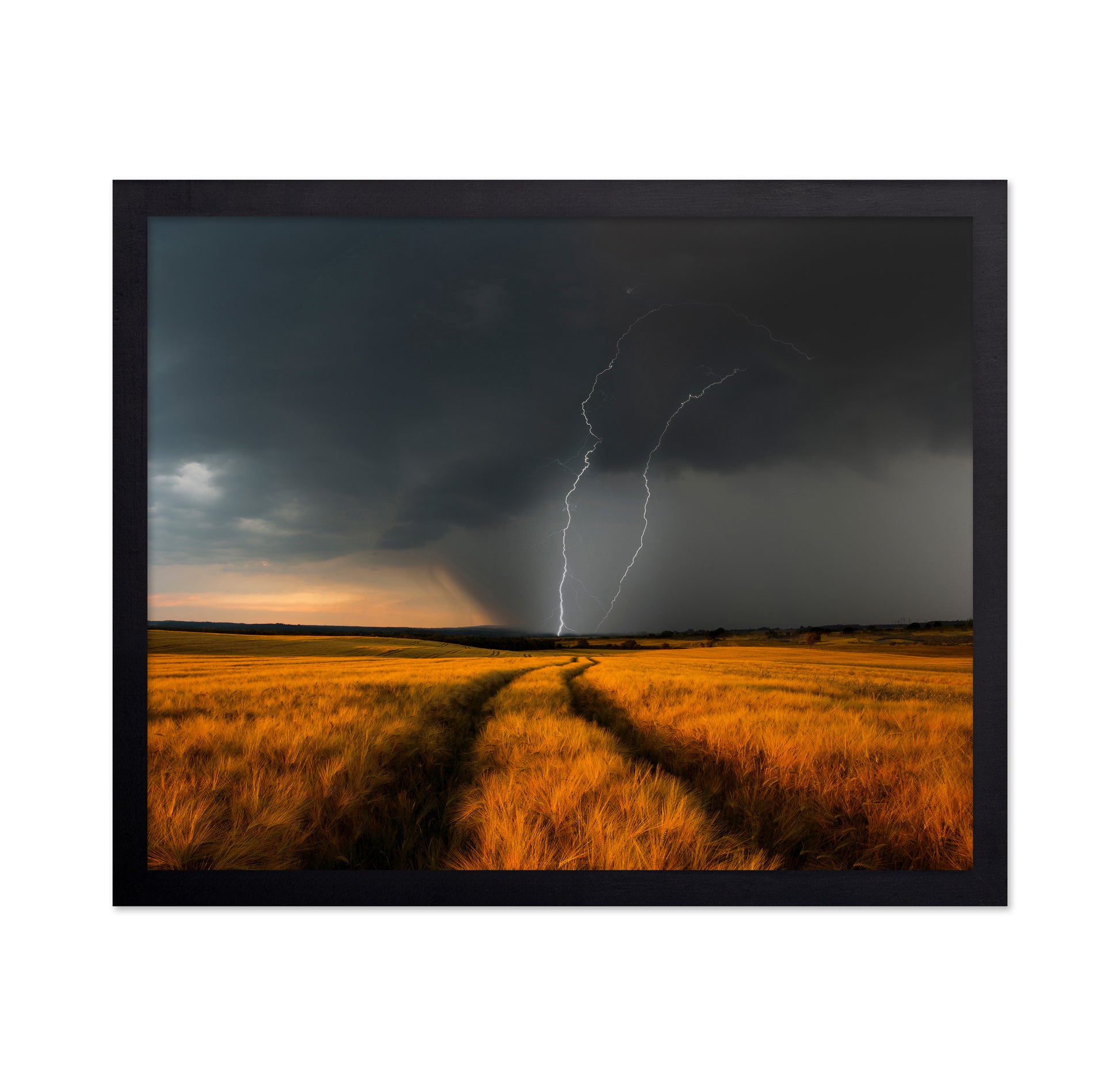 Lightning Over Wheat