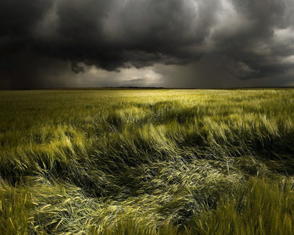 Storm Over Green Field