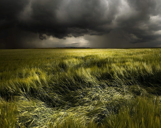 Storm Over Green Field