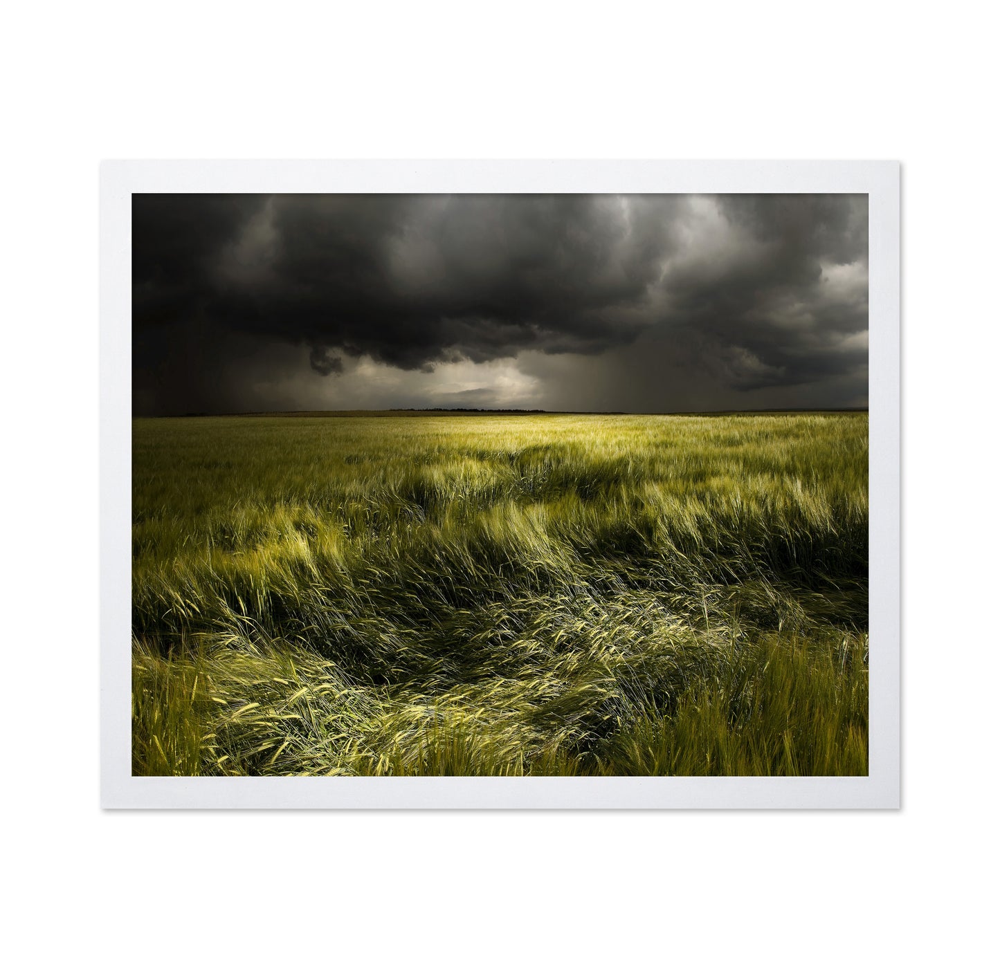 Storm Over Green Field