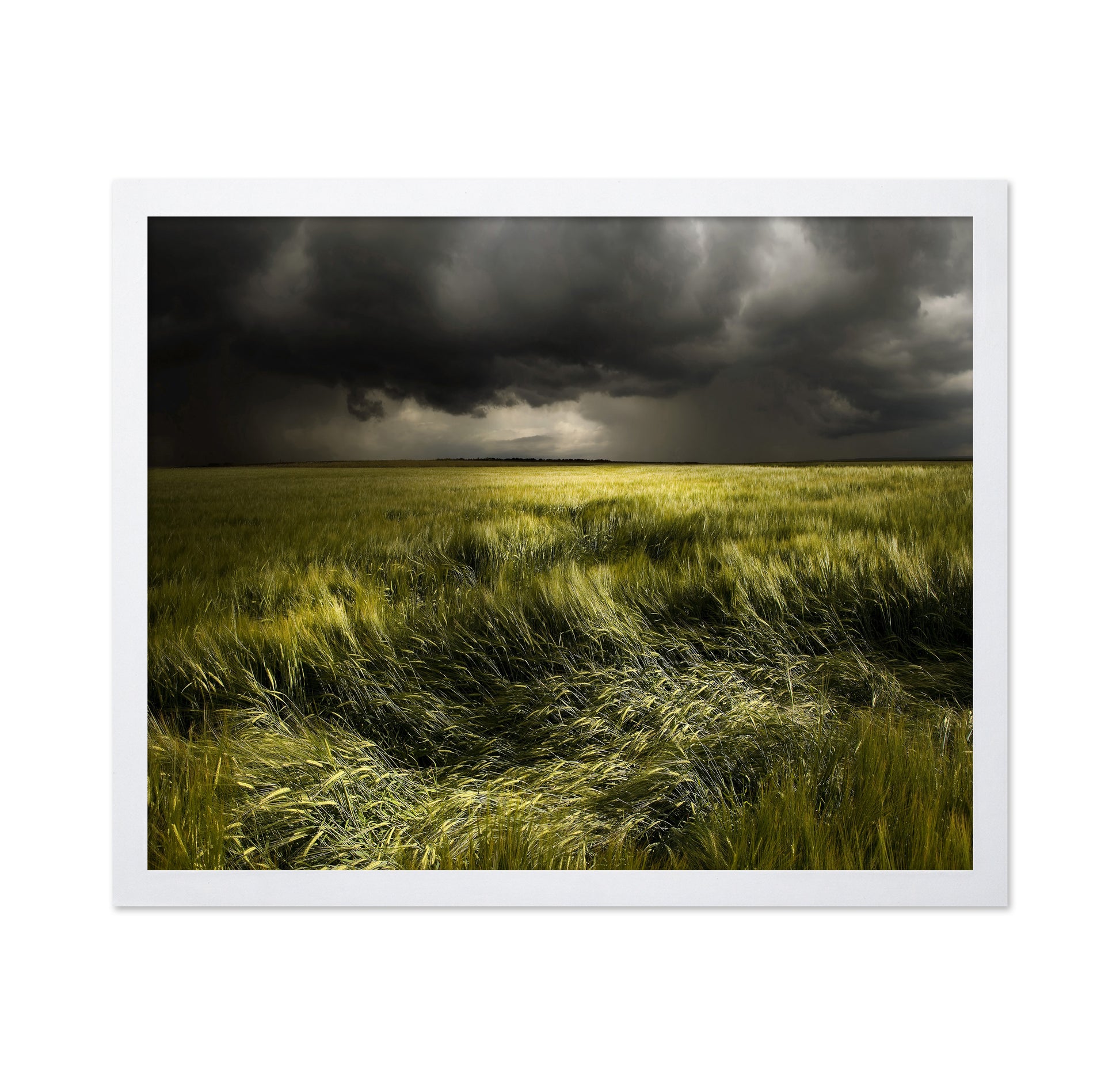 Storm Over Green Field
