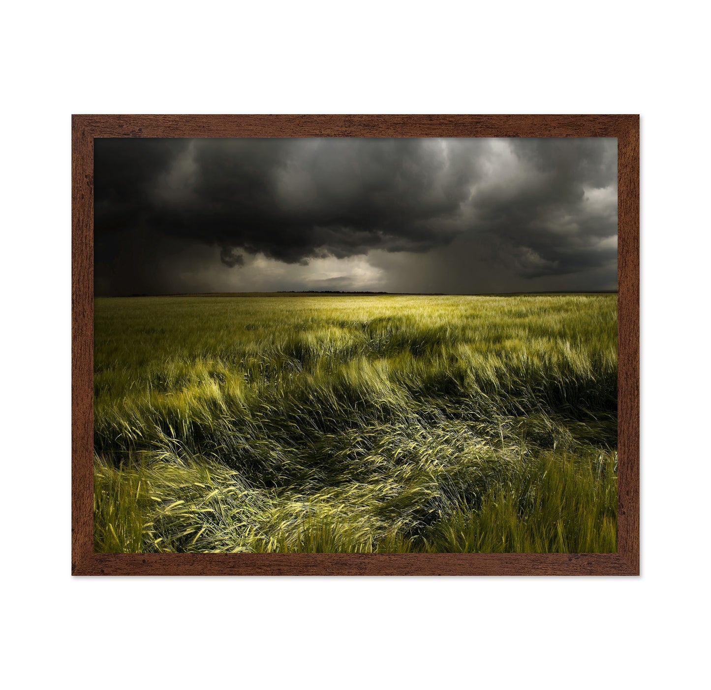 Storm Over Green Field