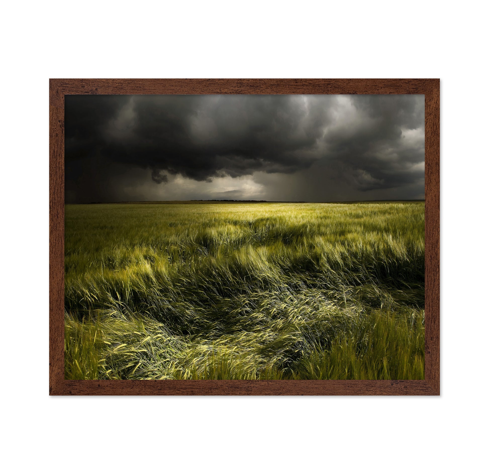 Storm Over Green Field