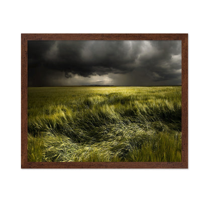 Storm Over Green Field