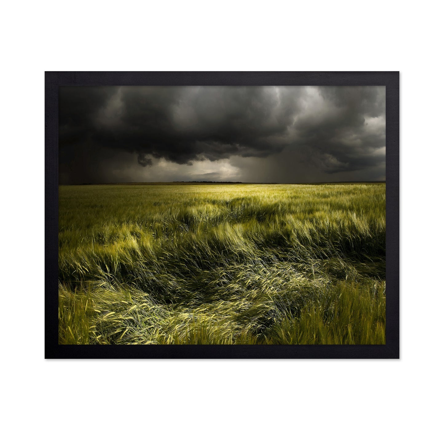 Storm Over Green Field