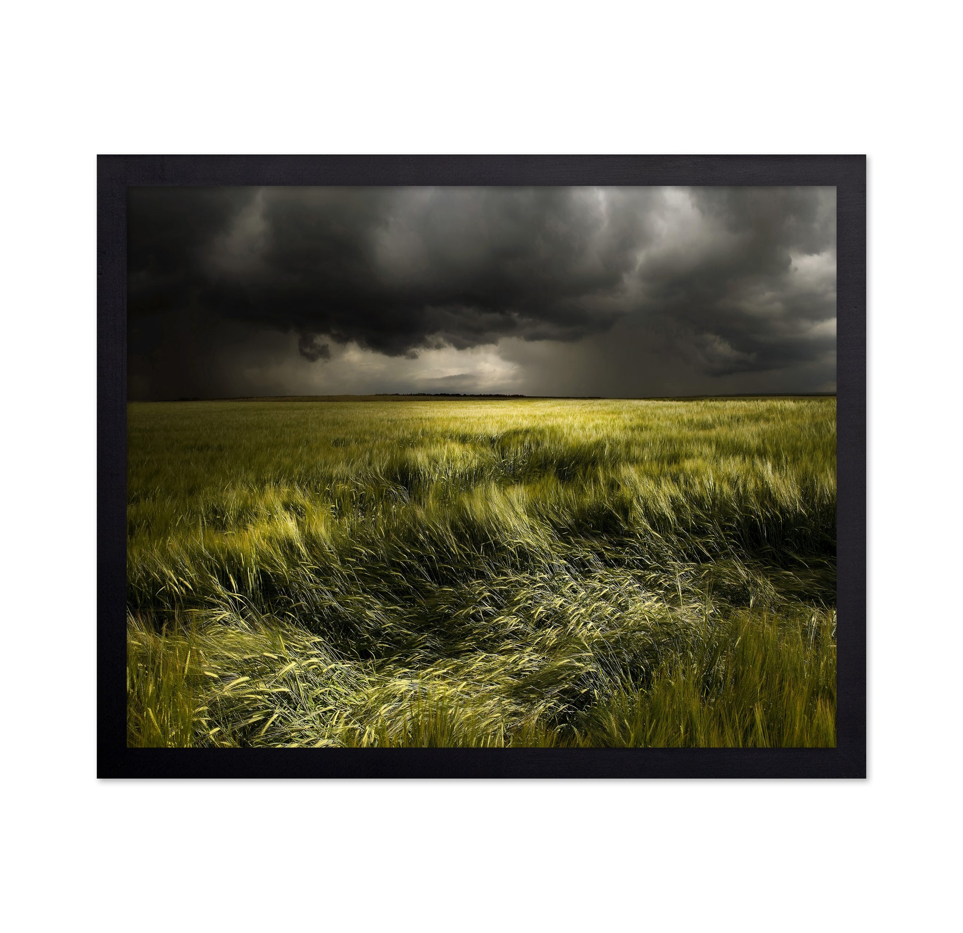 Storm Over Green Field