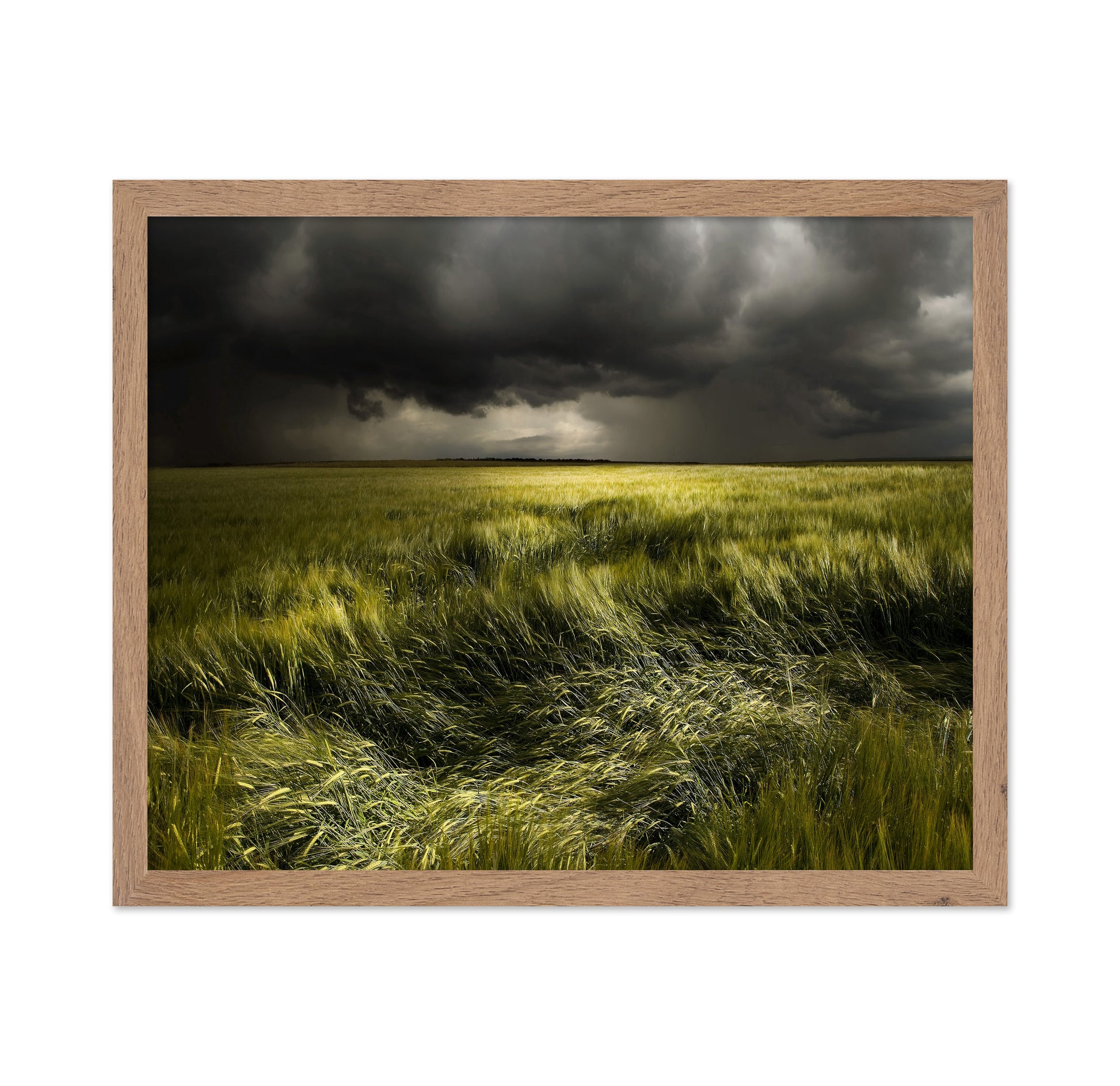 Storm Over Green Field