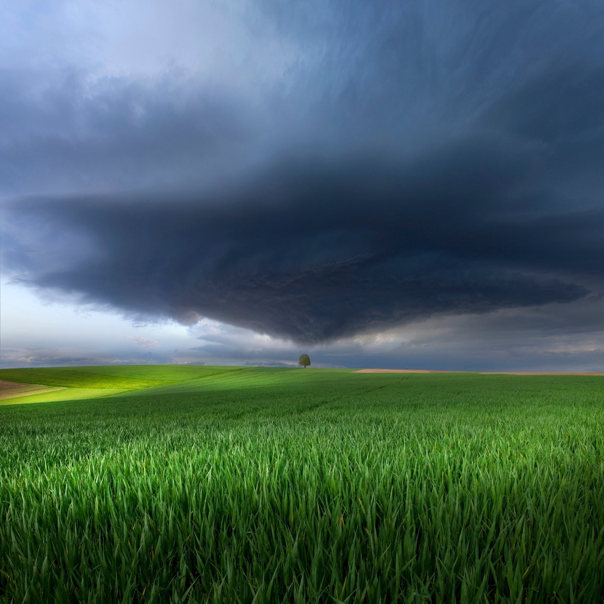 Thunderstorm Over Fields
