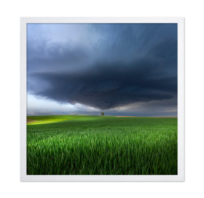 Thunderstorm Over Fields