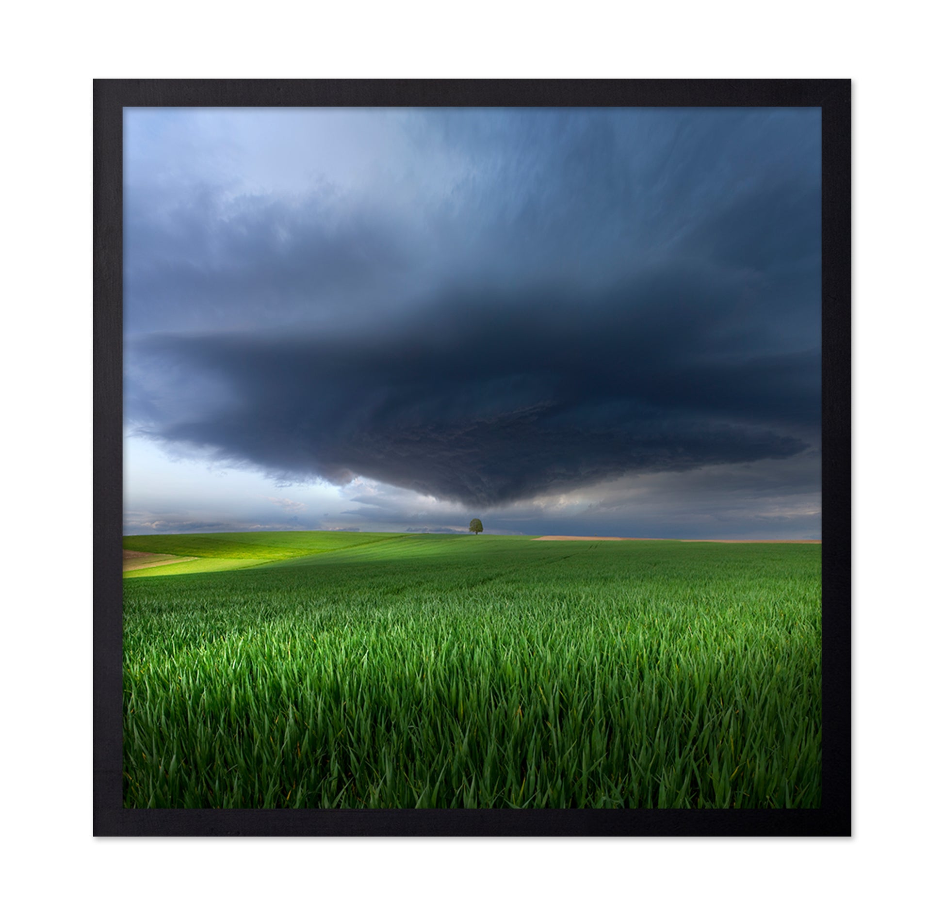 Thunderstorm Over Fields