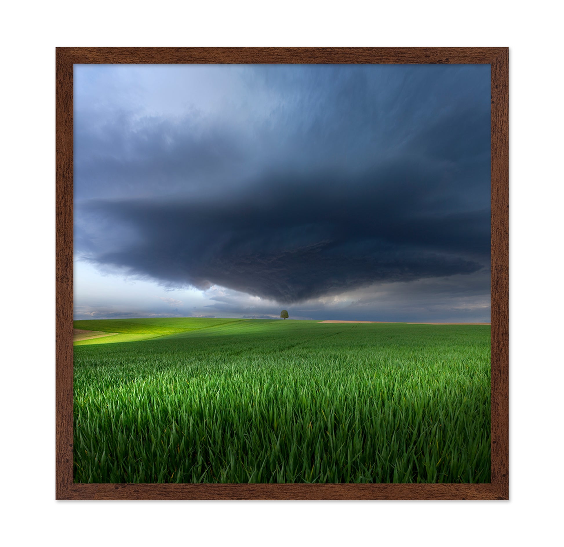 Thunderstorm Over Fields