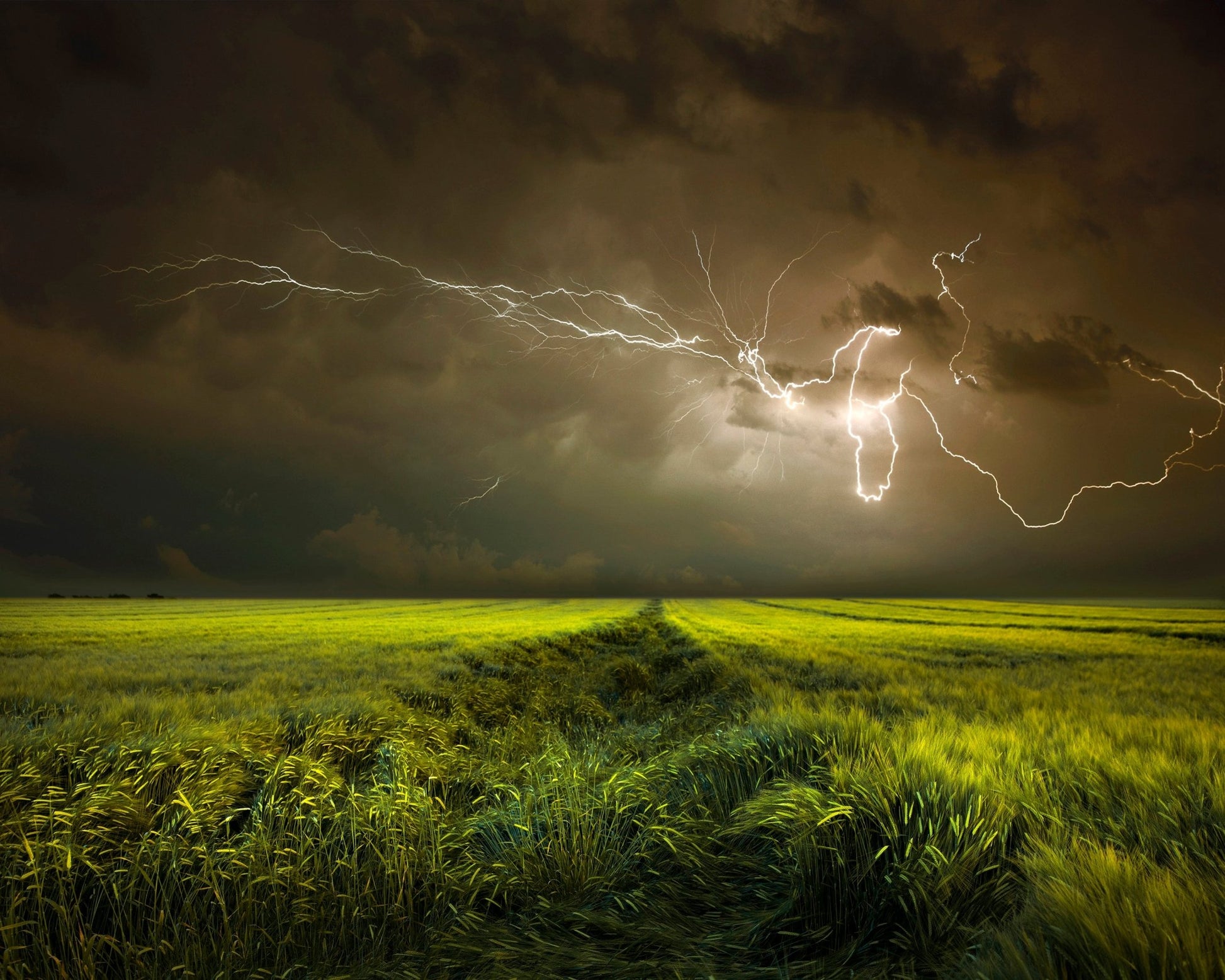 Lightning Over Green Field