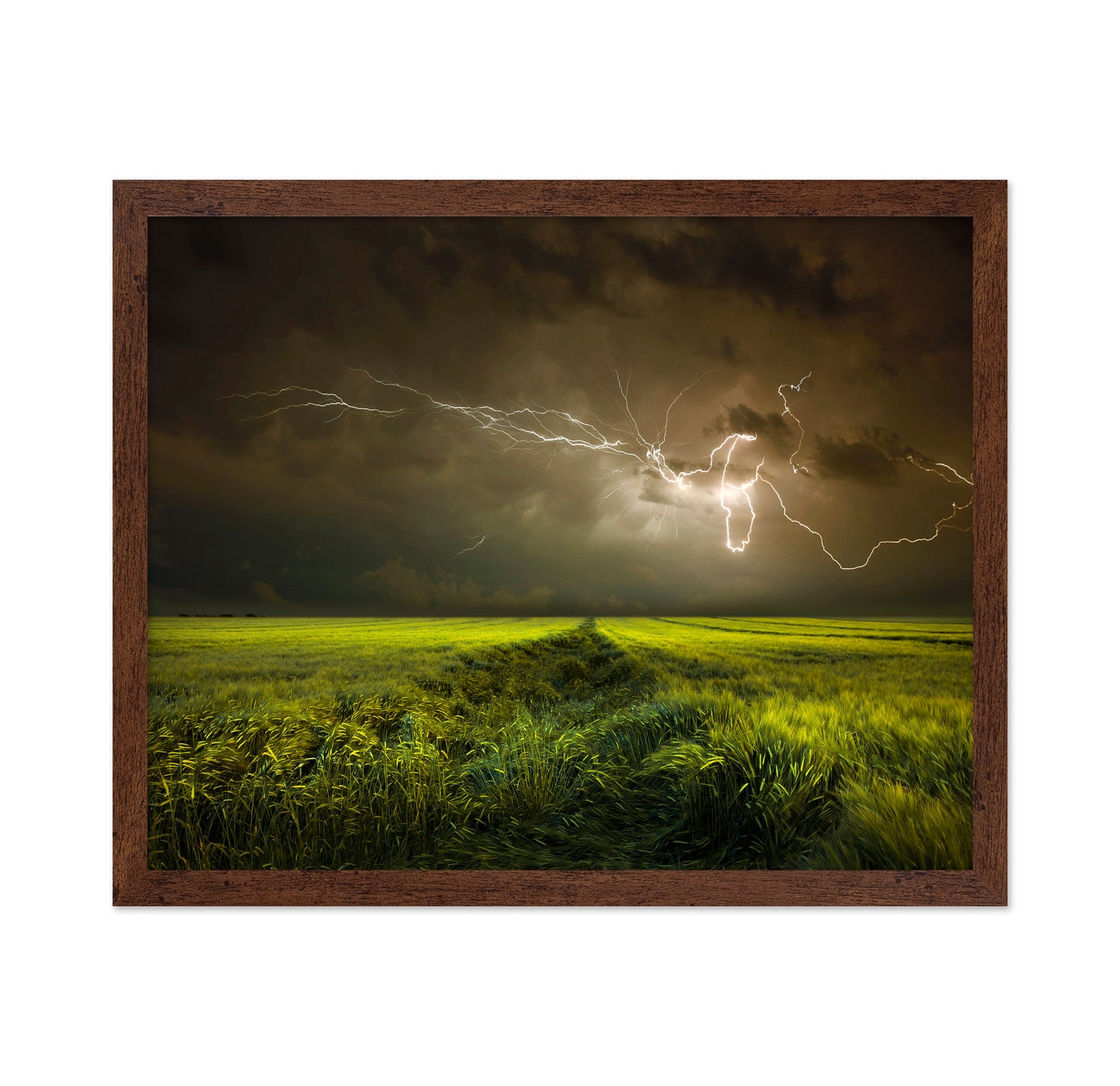 Lightning Over Green Field