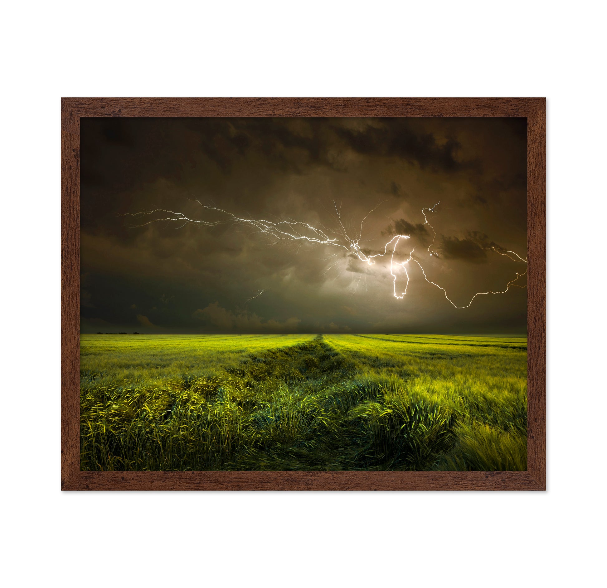 Lightning Over Green Field