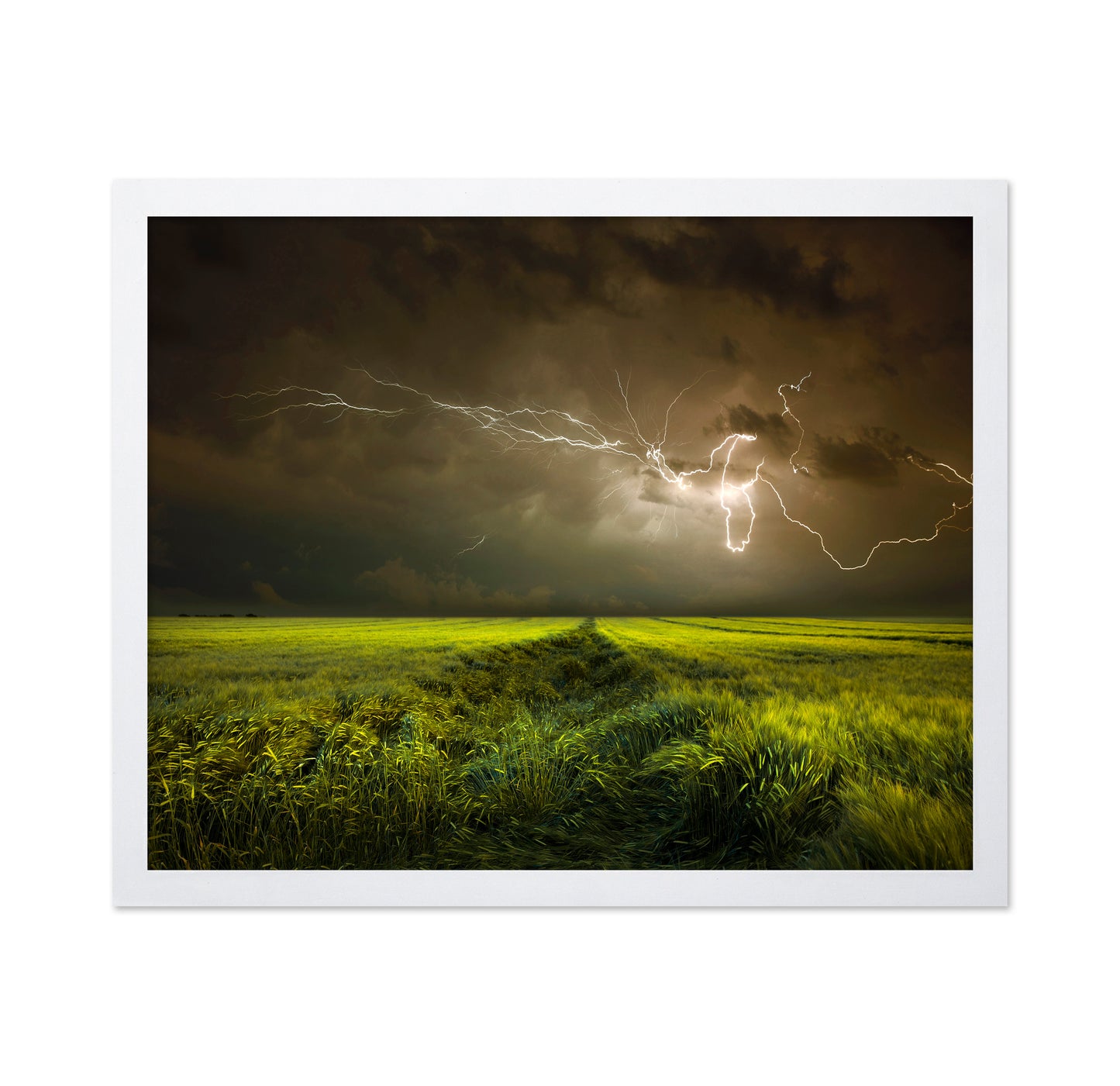 Lightning Over Green Field