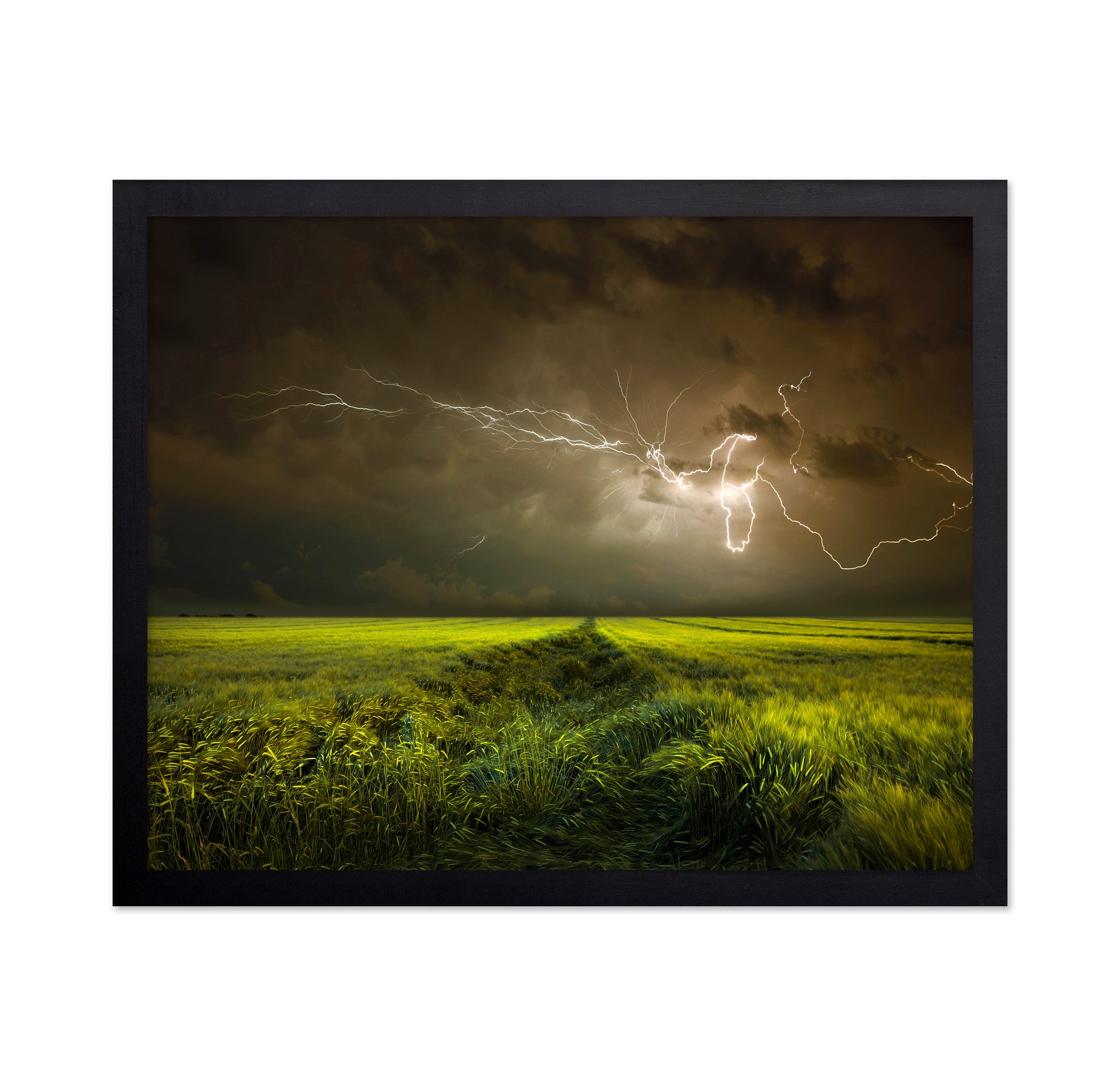 Lightning Over Green Field