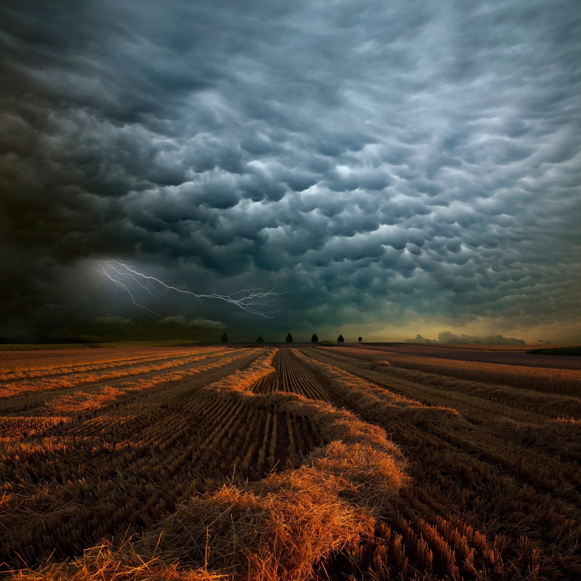 Storm Clouds Over Field