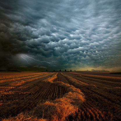 Storm Clouds Over Field