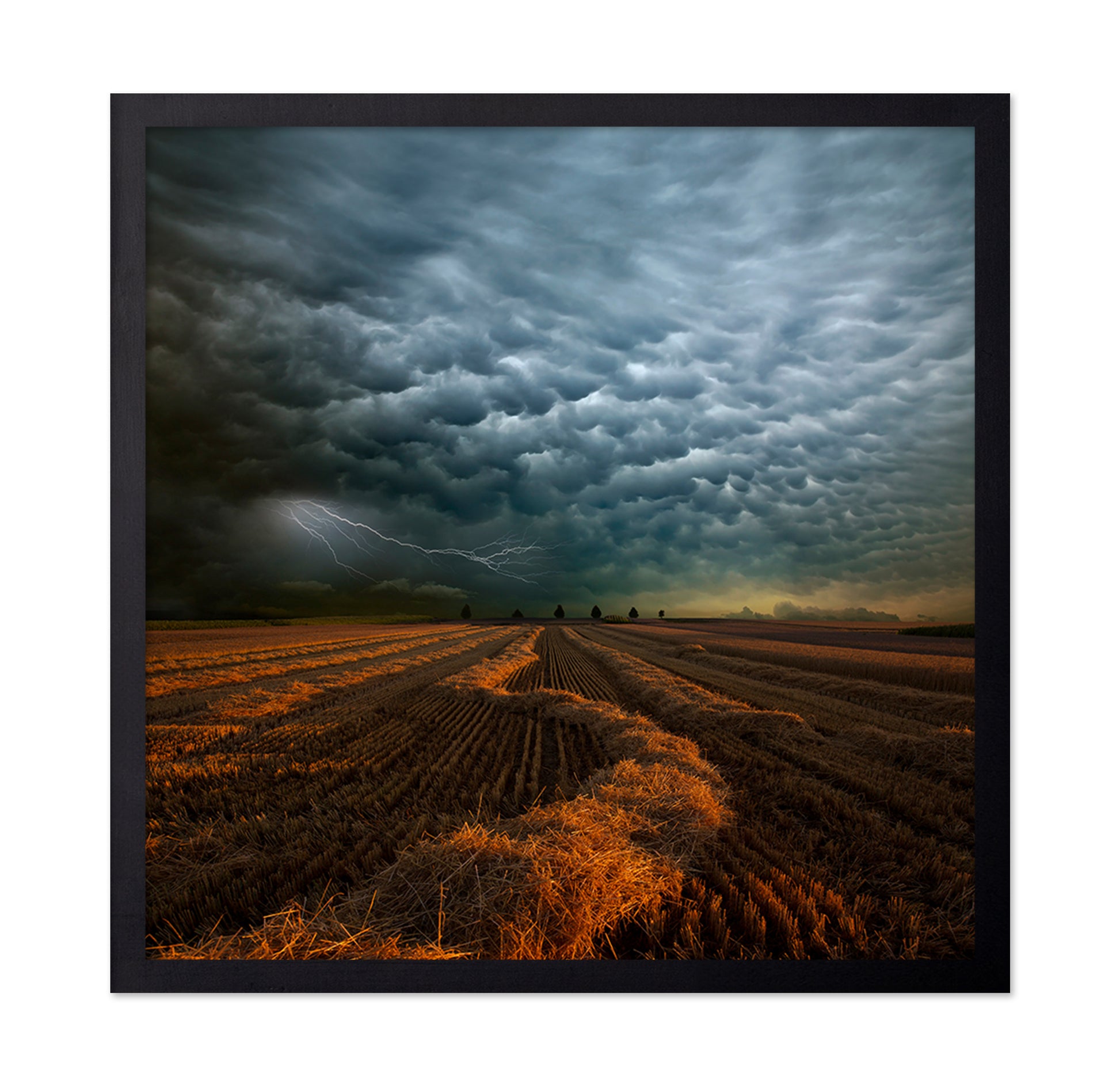 Storm Clouds Over Field