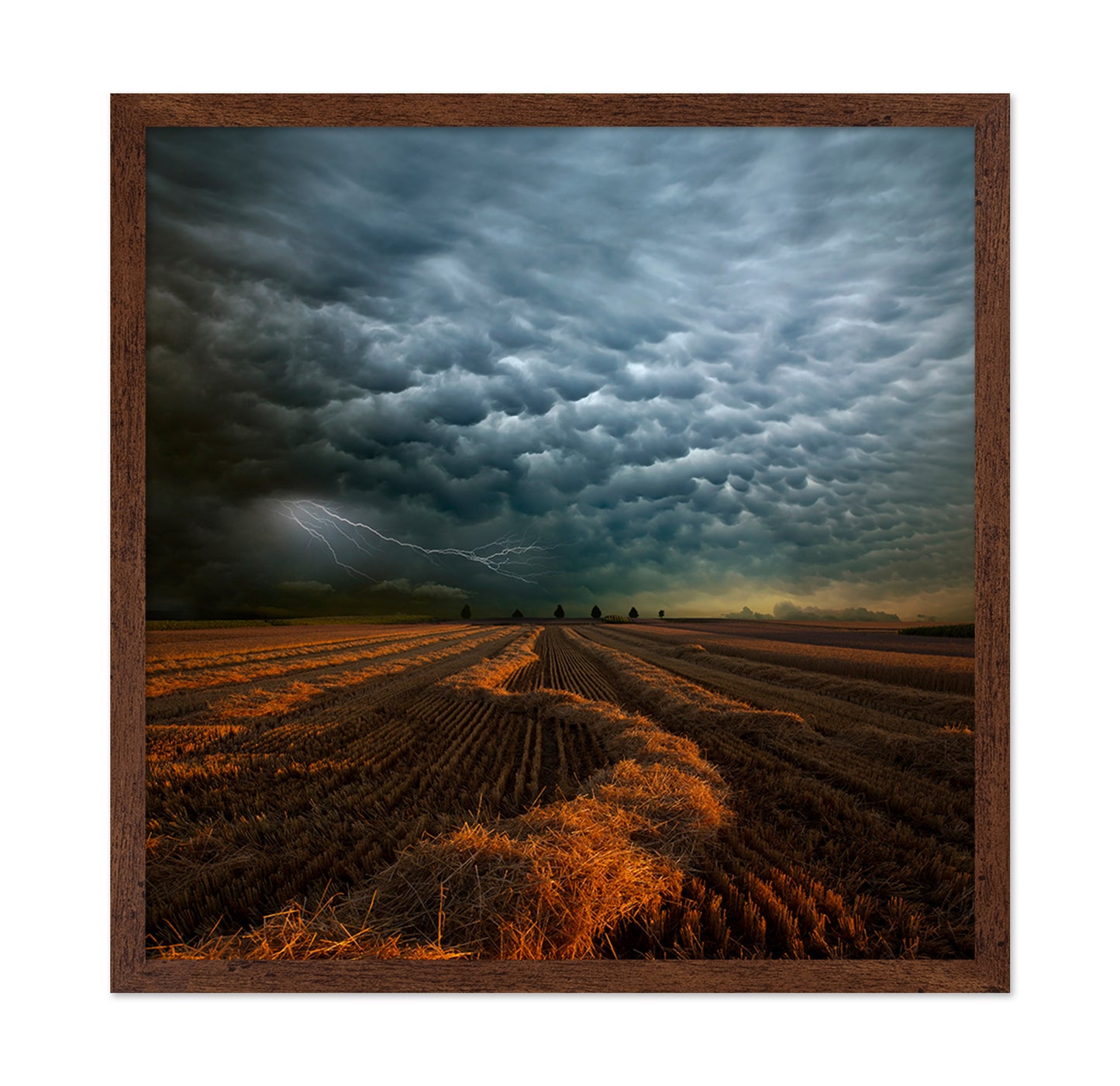 Storm Clouds Over Field