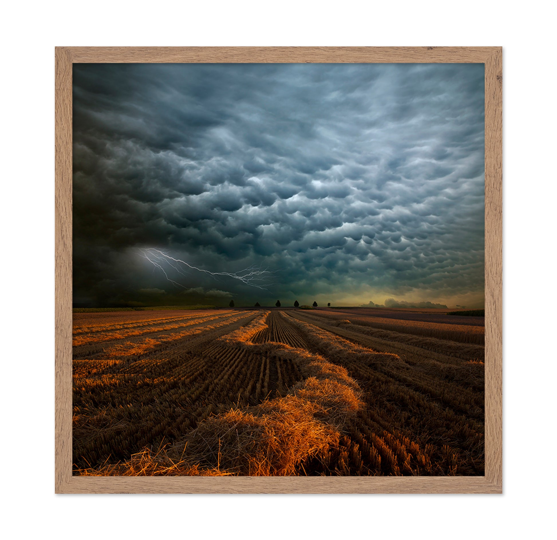Storm Clouds Over Field