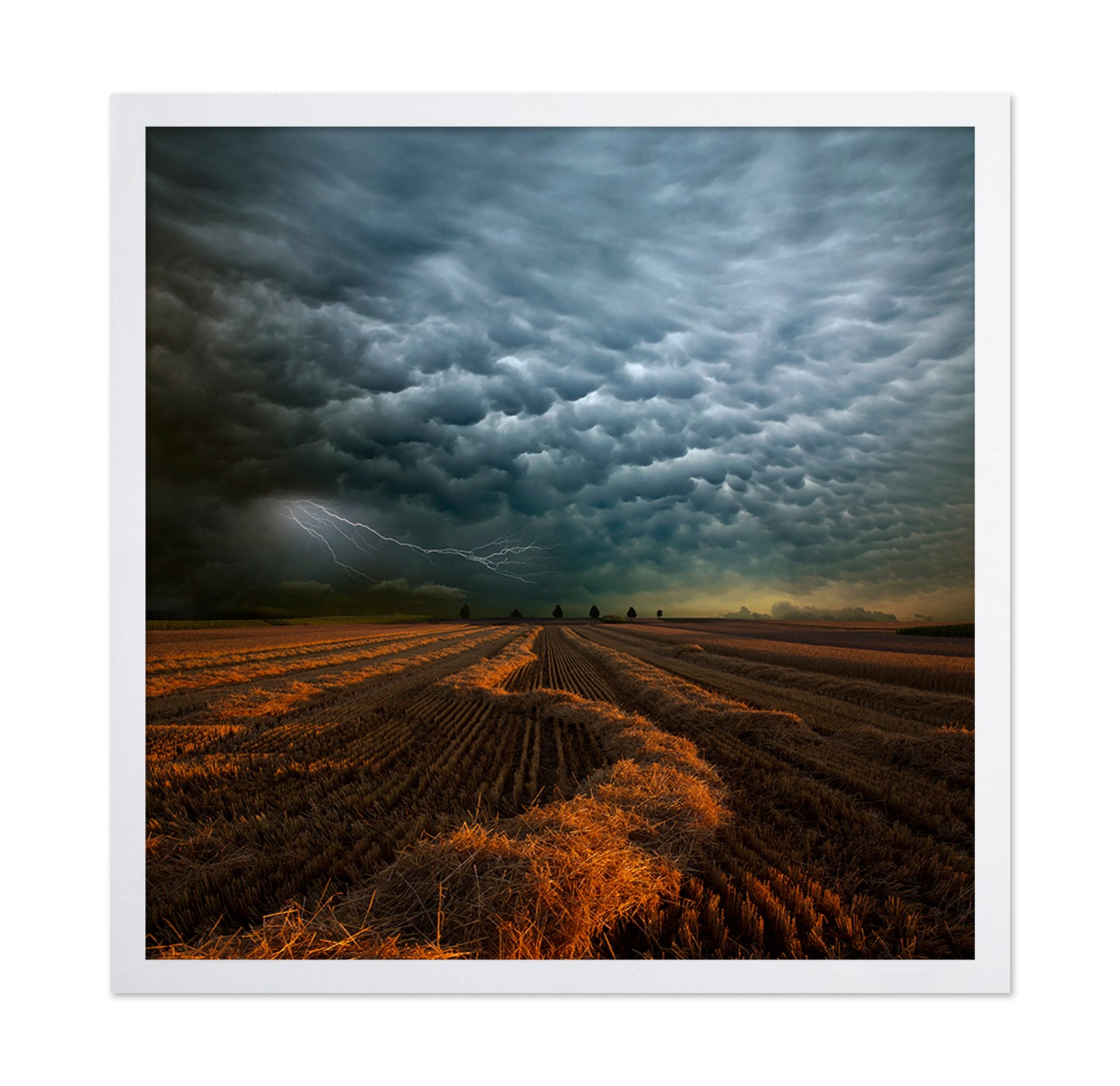 Storm Clouds Over Field