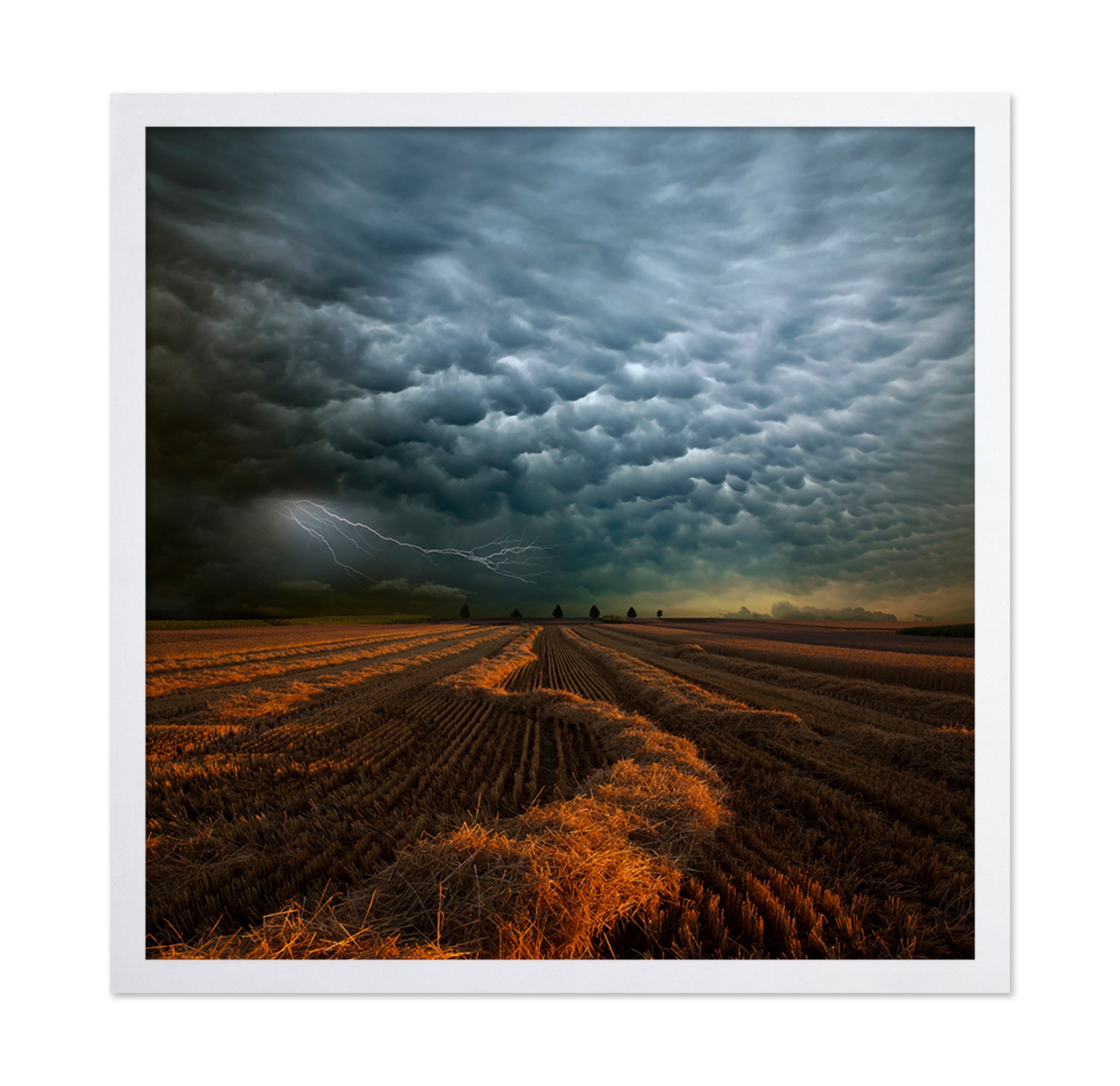 Storm Clouds Over Field