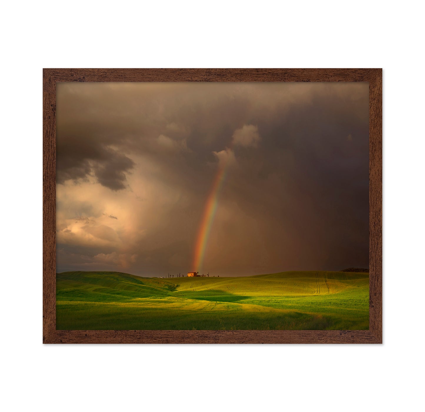 Rainbow Over Tuscany Hills
