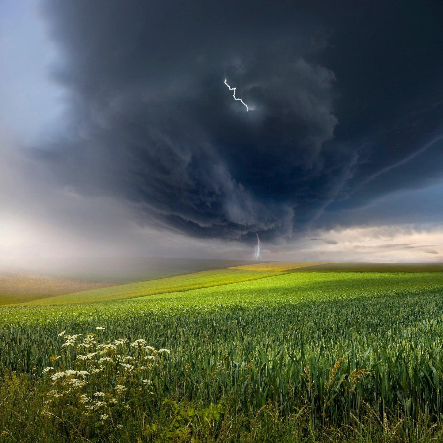 Summer Storm Over Field
