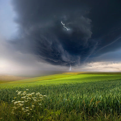 Summer Storm Over Field