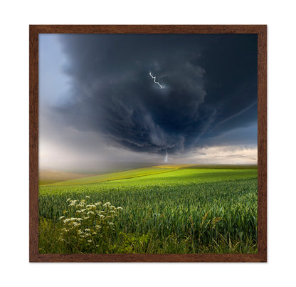Summer Storm Over Field