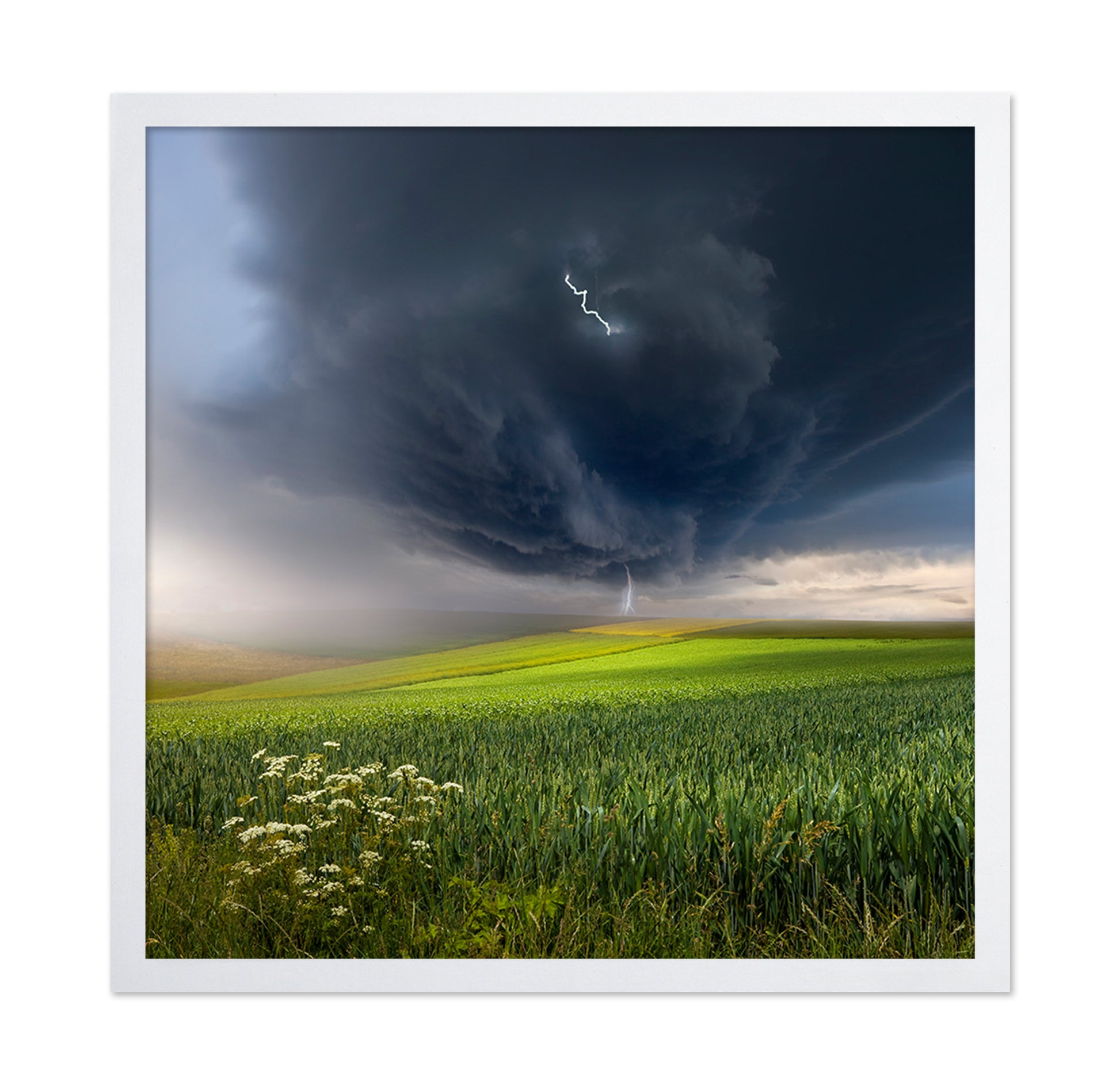Summer Storm Over Field