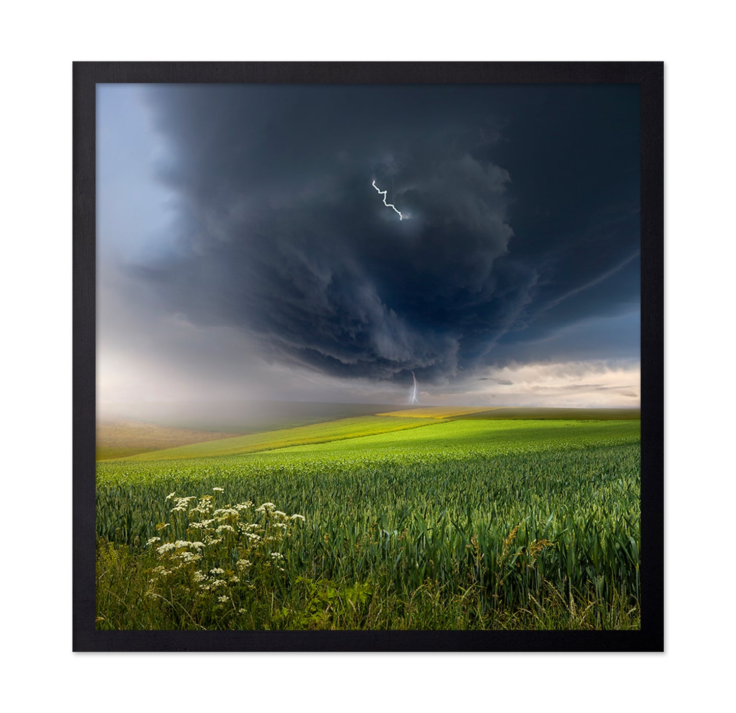 Summer Storm Over Field