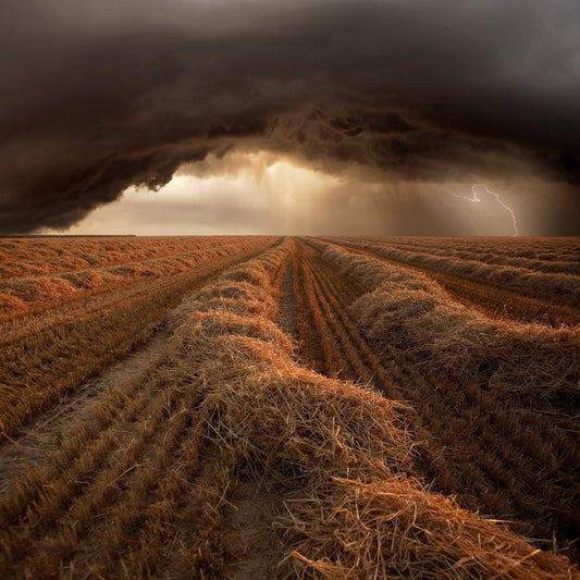 Storm Over Harvest Field