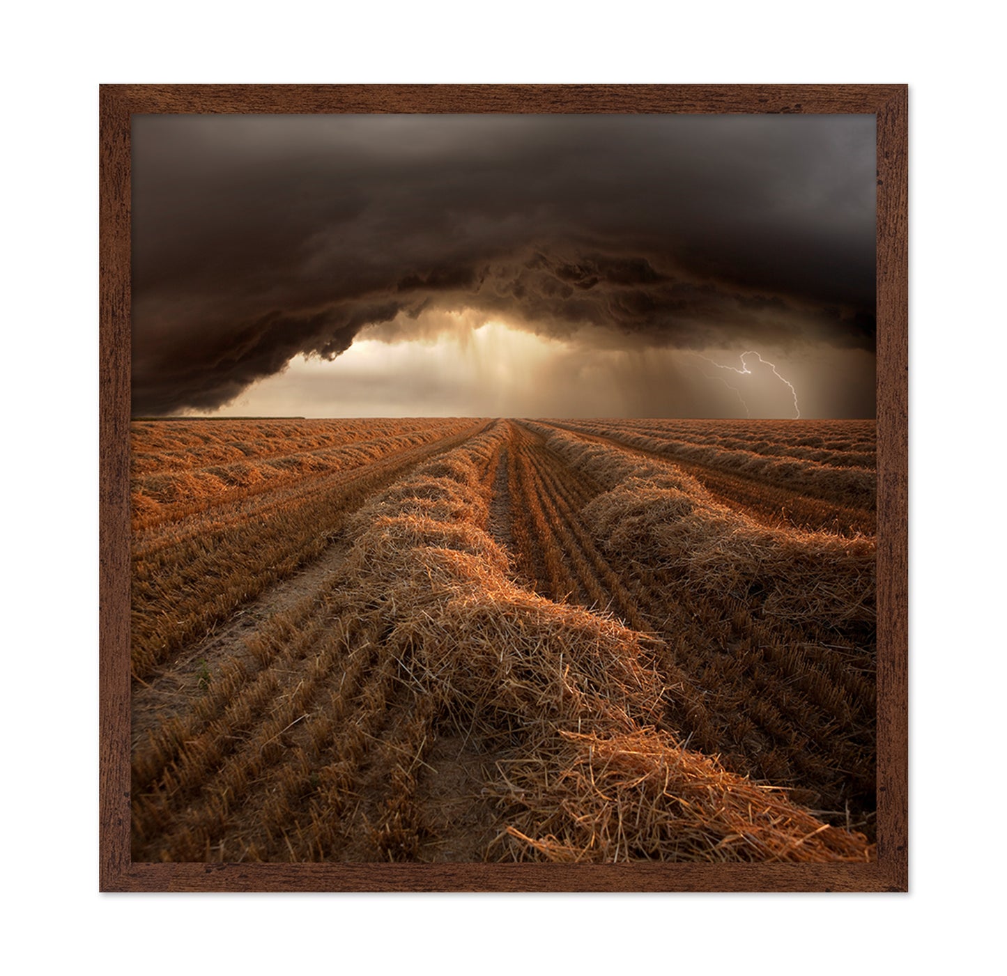 Storm Over Harvest Field