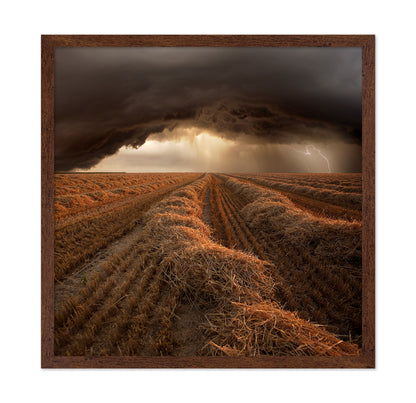 Storm Over Harvest Field
