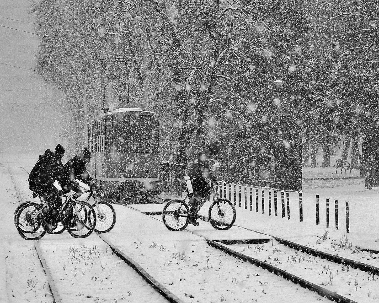 Cyclists In Snowstorm