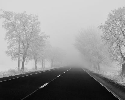 Foggy Winter Road