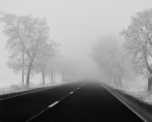 Foggy Winter Road