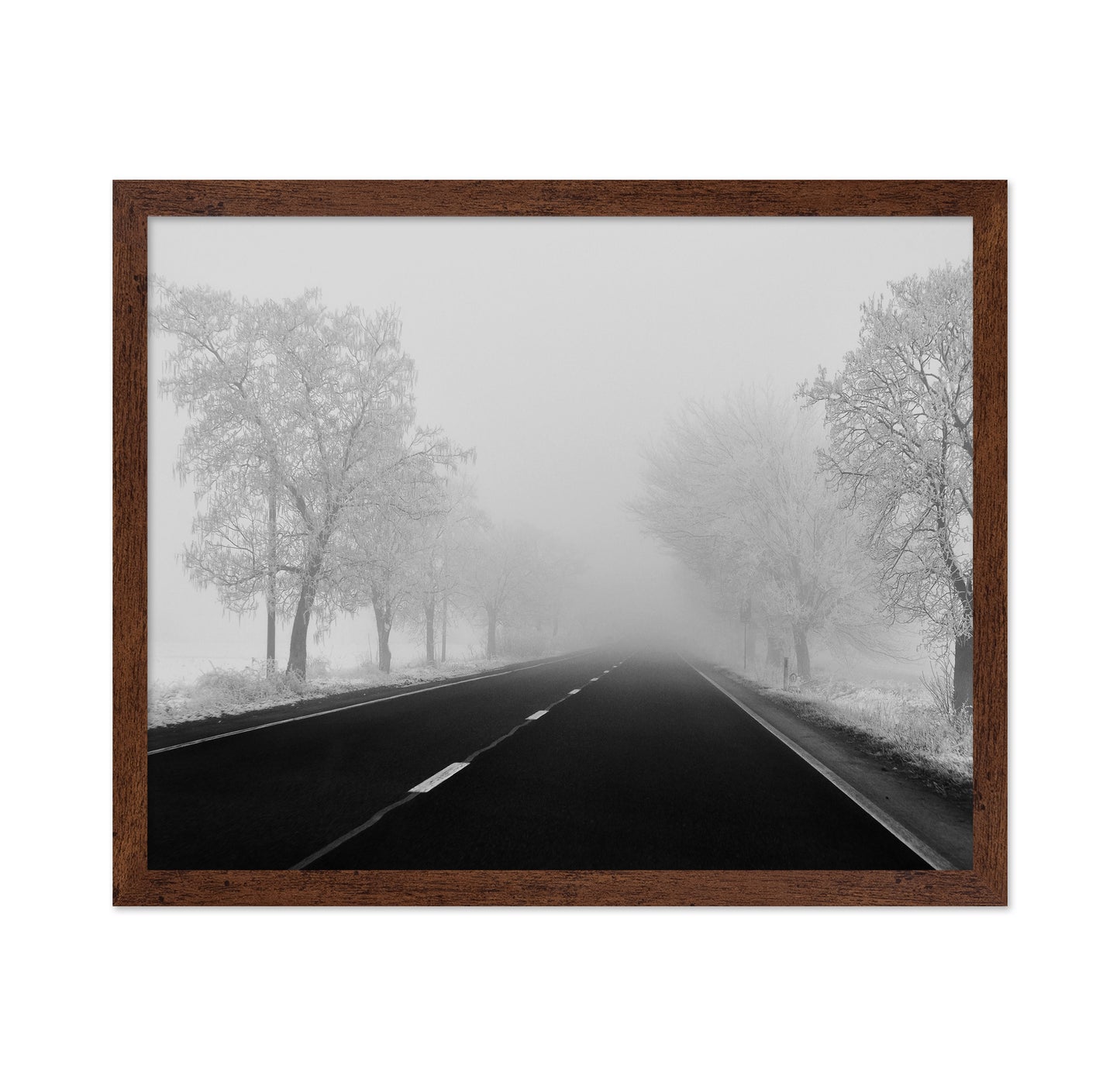 Foggy Winter Road