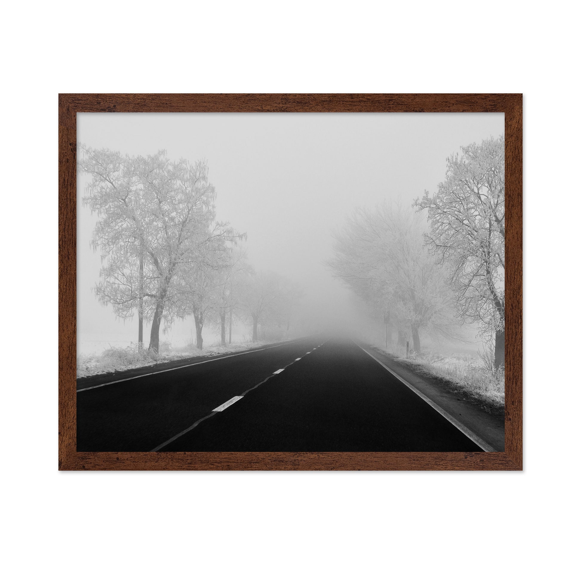 Foggy Winter Road