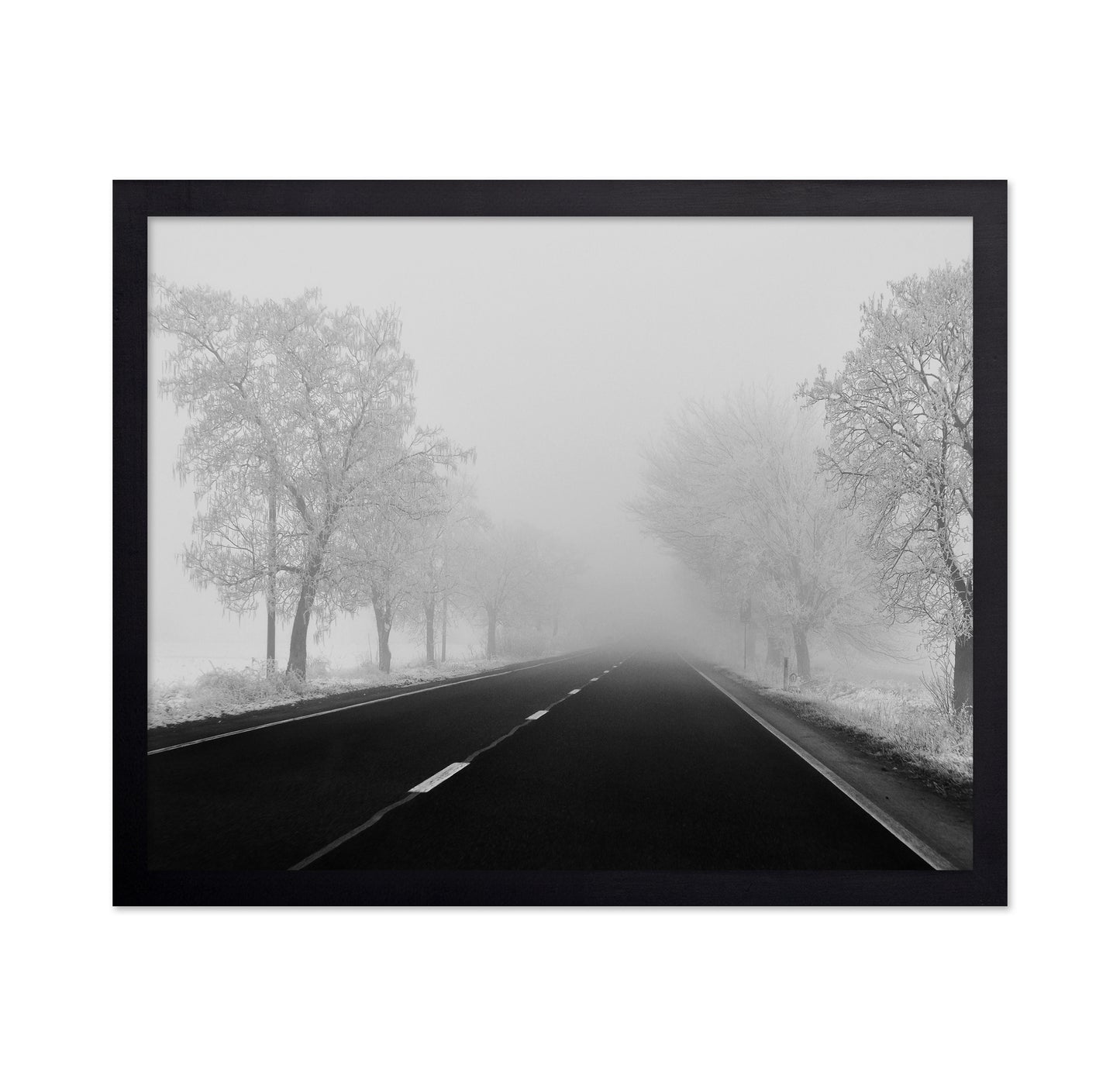Foggy Winter Road