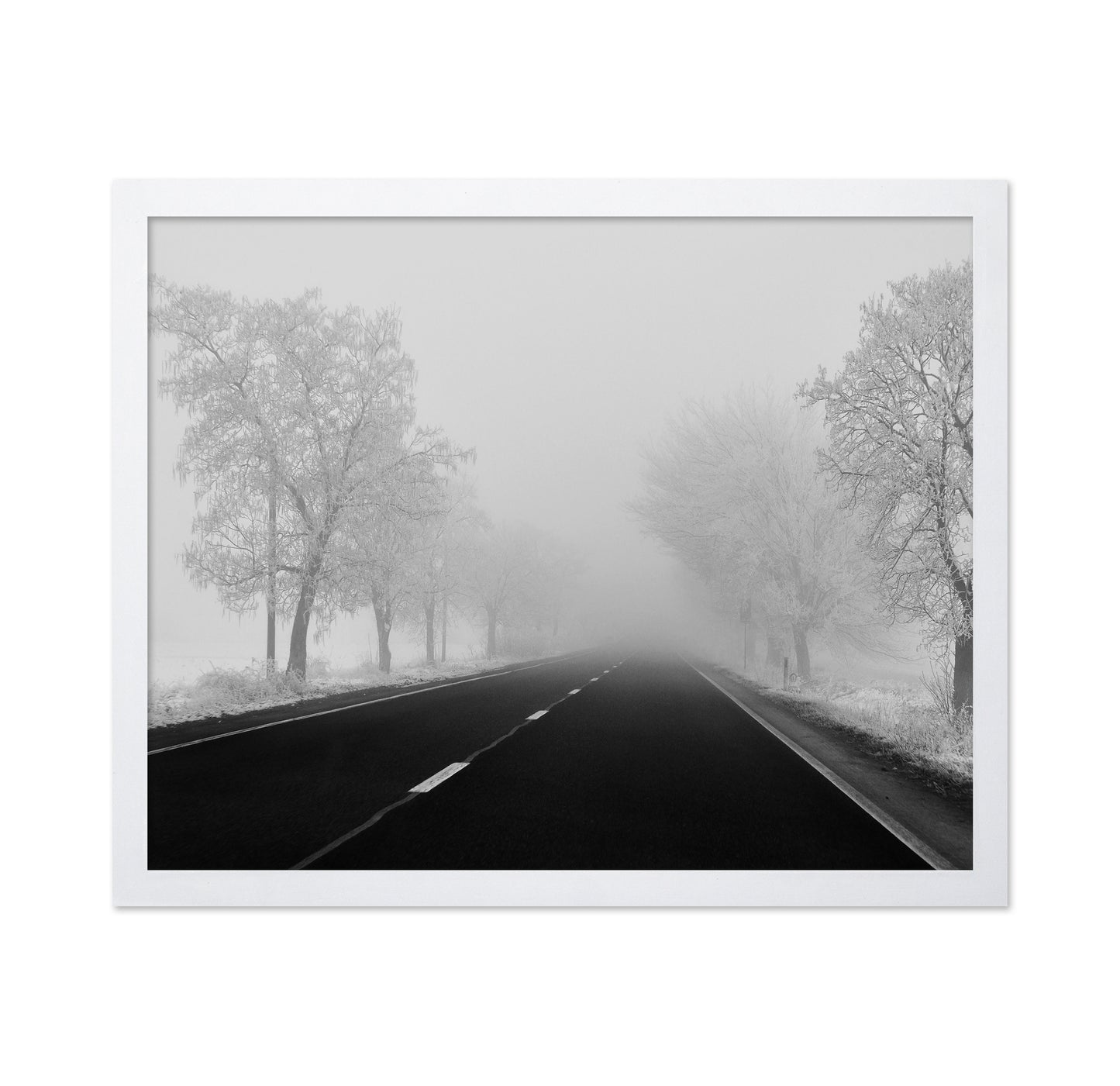 Foggy Winter Road