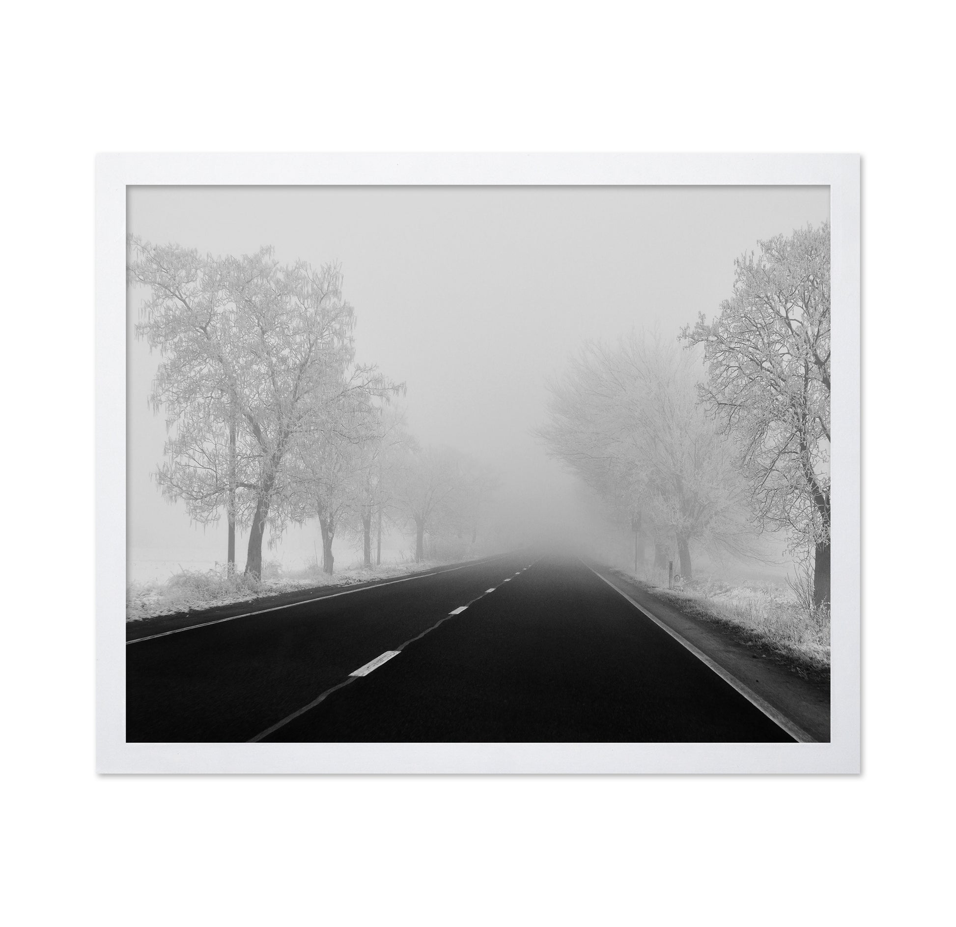 Foggy Winter Road
