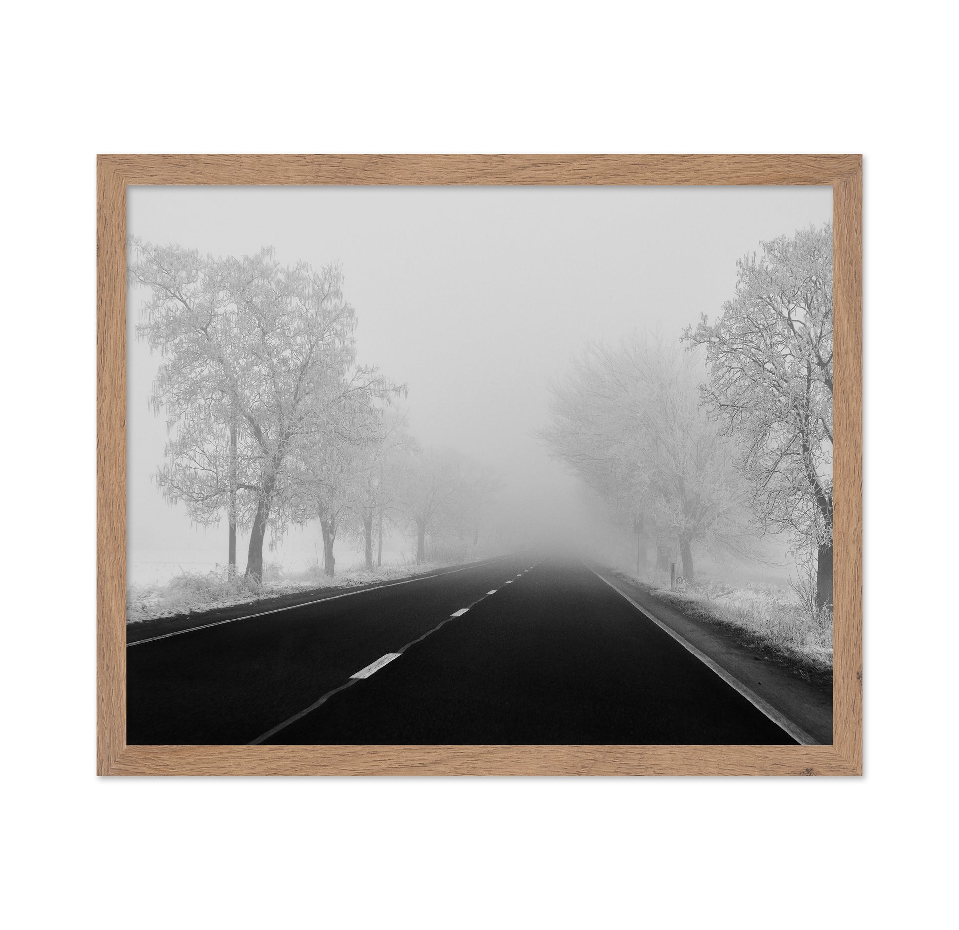 Foggy Winter Road
