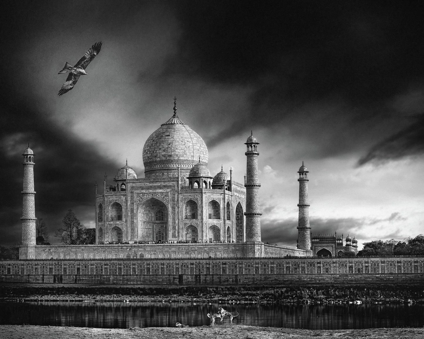 Taj Mahal River View